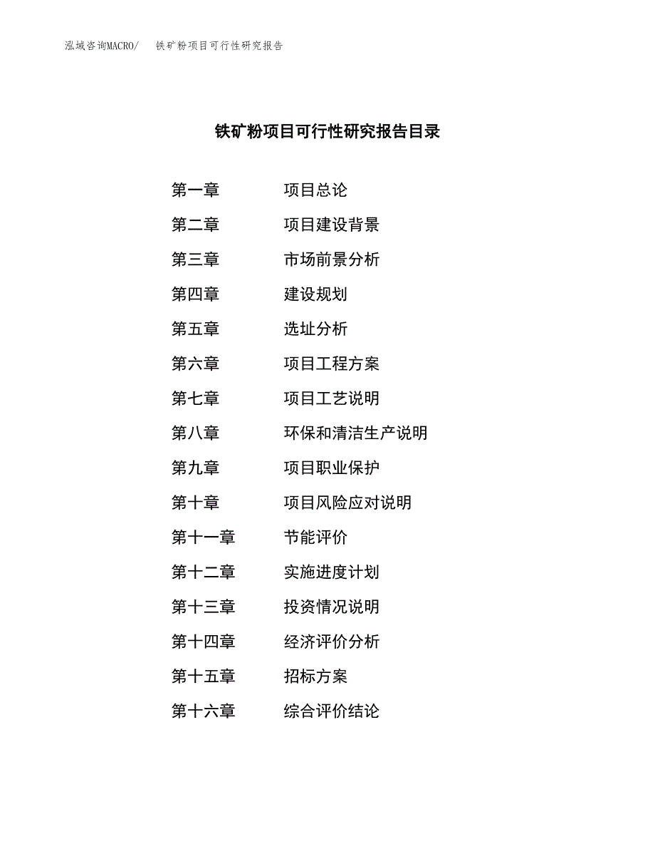 铁矿粉项目可行性研究报告_范文.docx_第2页