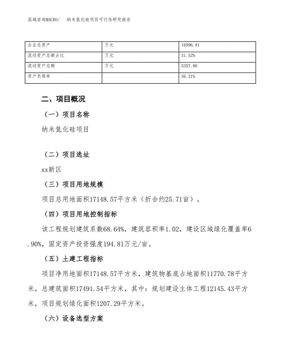 纳米氮化硅项目可行性研究报告_范文.docx_第5页