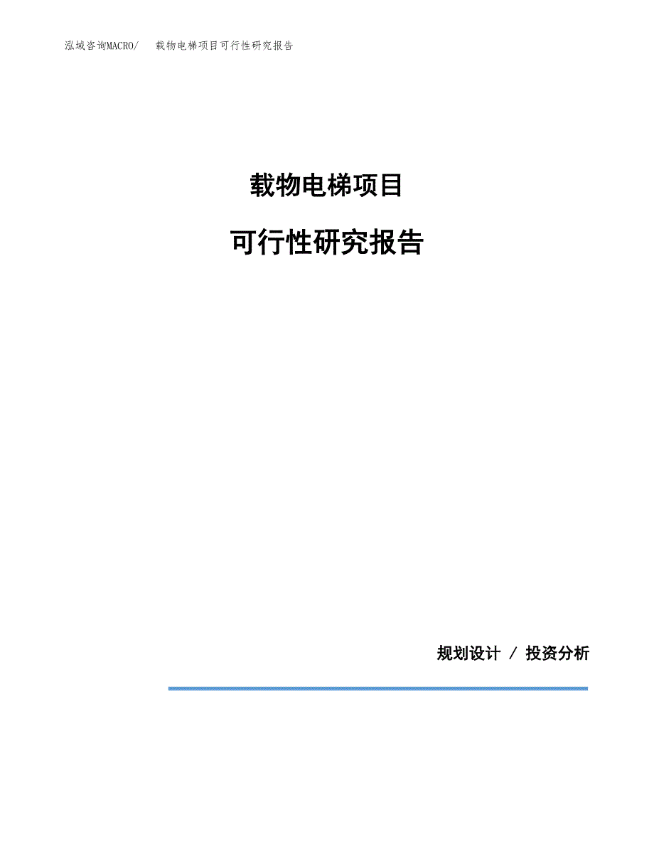 载物电梯项目可行性研究报告[参考范文].docx_第1页