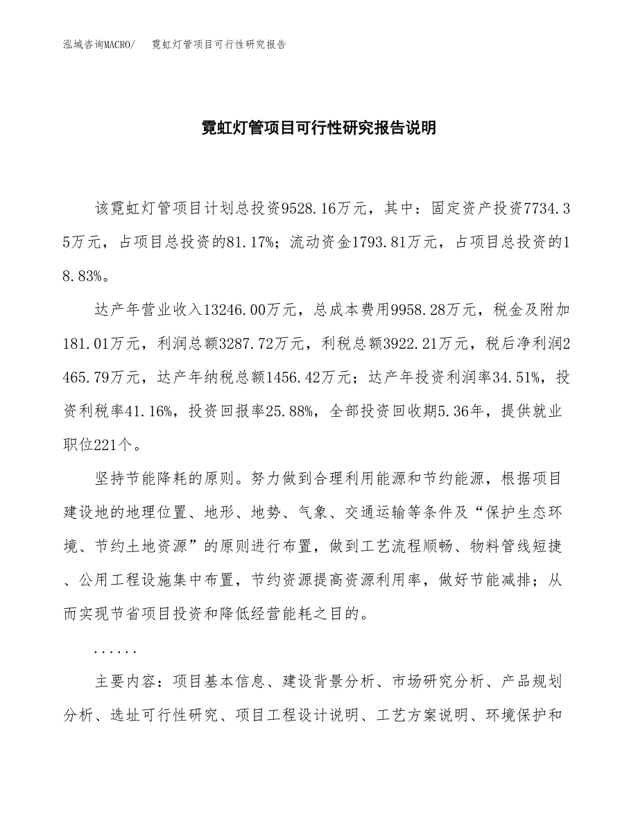 霓虹灯管项目可行性研究报告[参考范文].docx_第2页