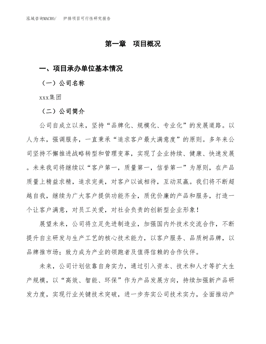 炉排项目可行性研究报告_范文.docx_第3页