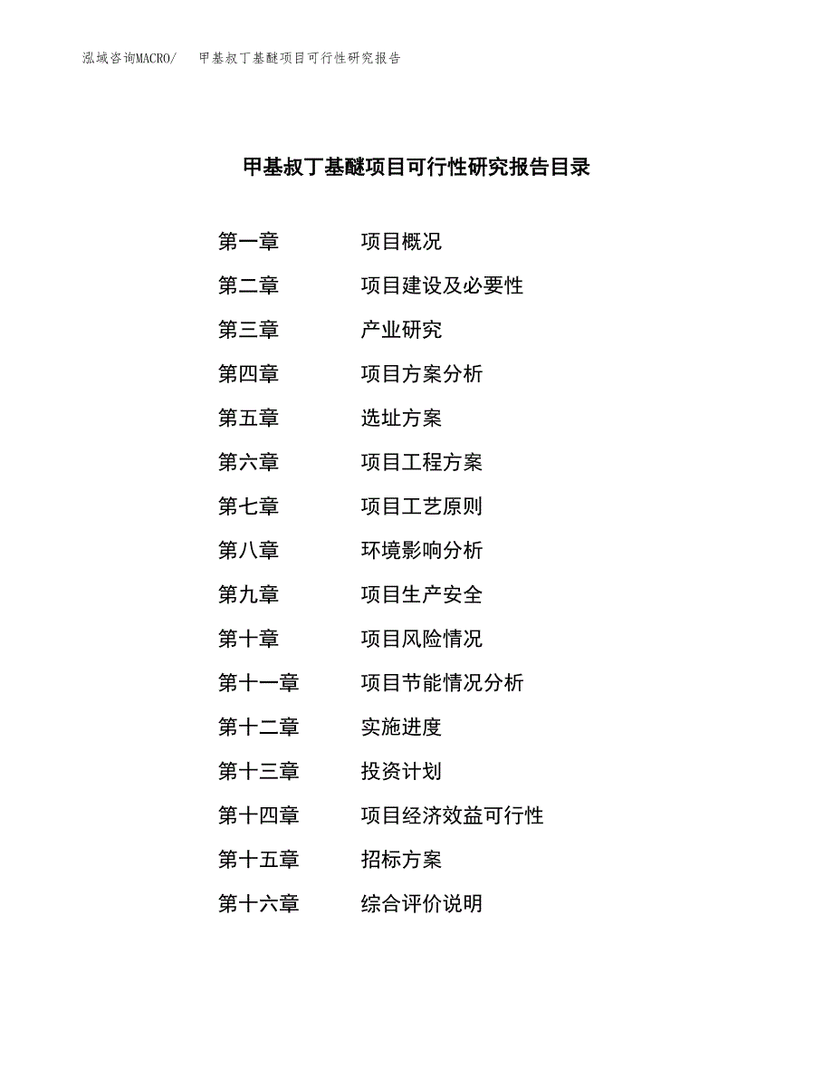 甲基叔丁基醚项目可行性研究报告_范文.docx_第2页