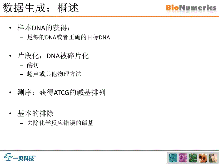 微生物分子分型数据分析(pfge、mlst、mlva、wgmlst、宏基因组、全基因组)_第4页