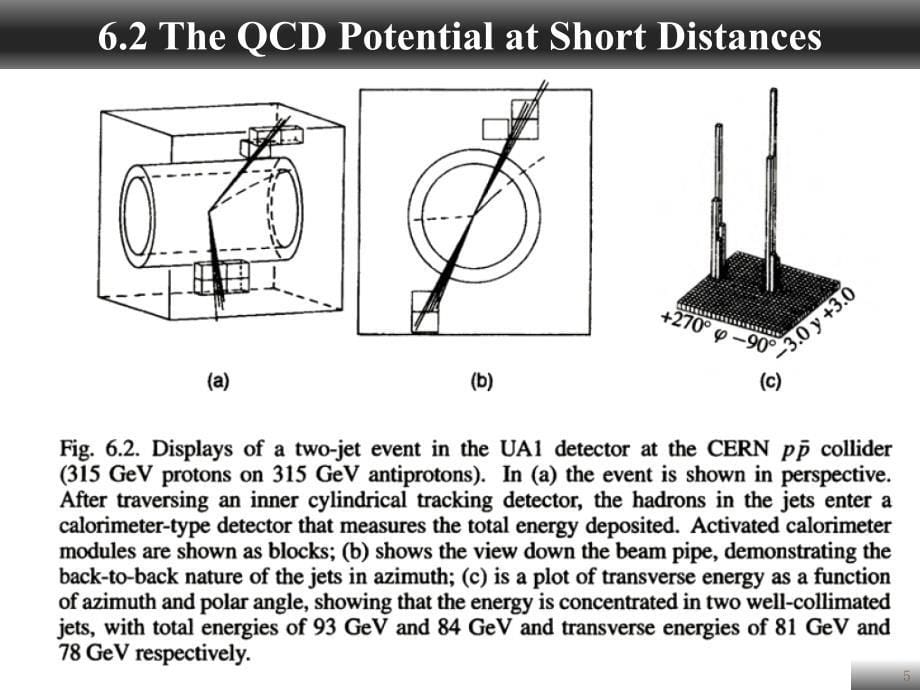 粒子物理课件HEPChapter6章节_第5页