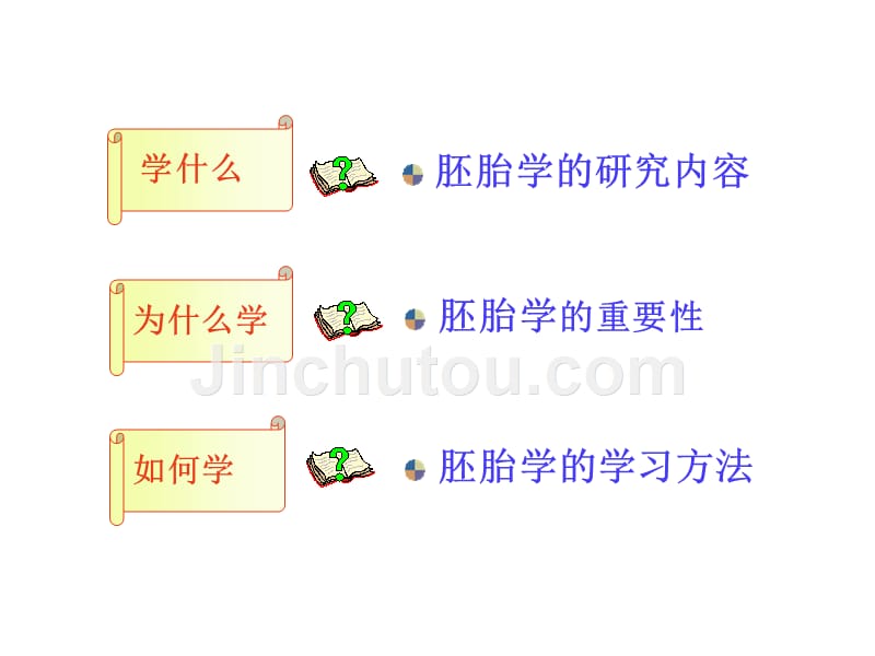 组胚课件2013级15.人体胚胎发育总论_第2页