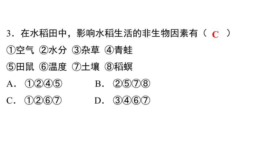 14.2019年广东省中考仿真模拟卷(二)_第4页