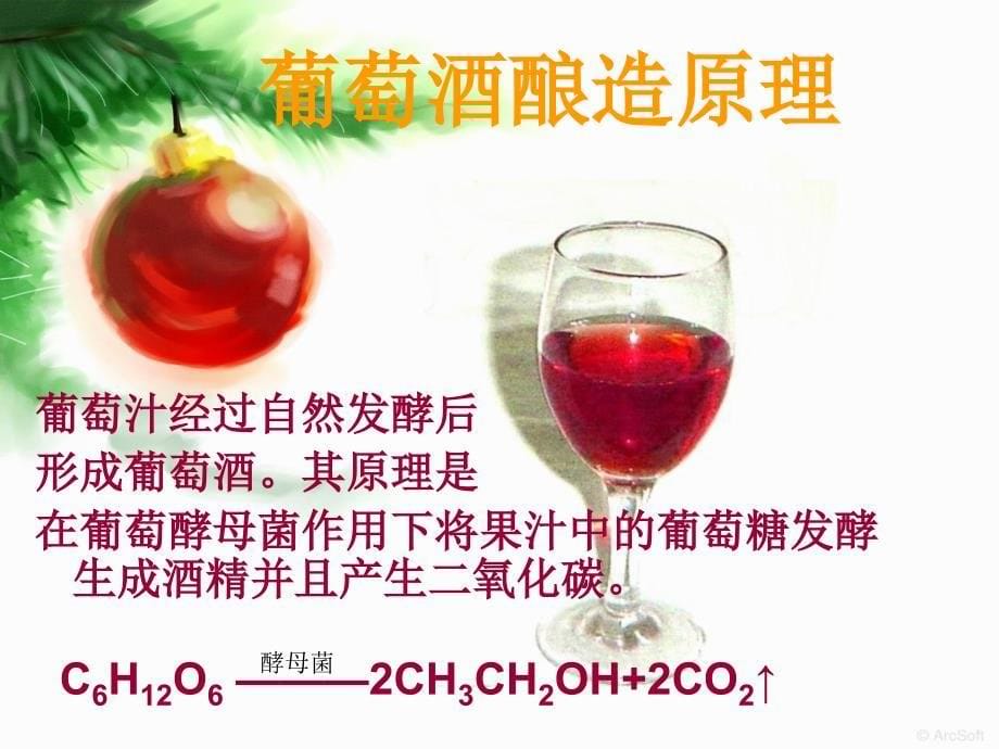 葡萄酒酿造课件_第5页