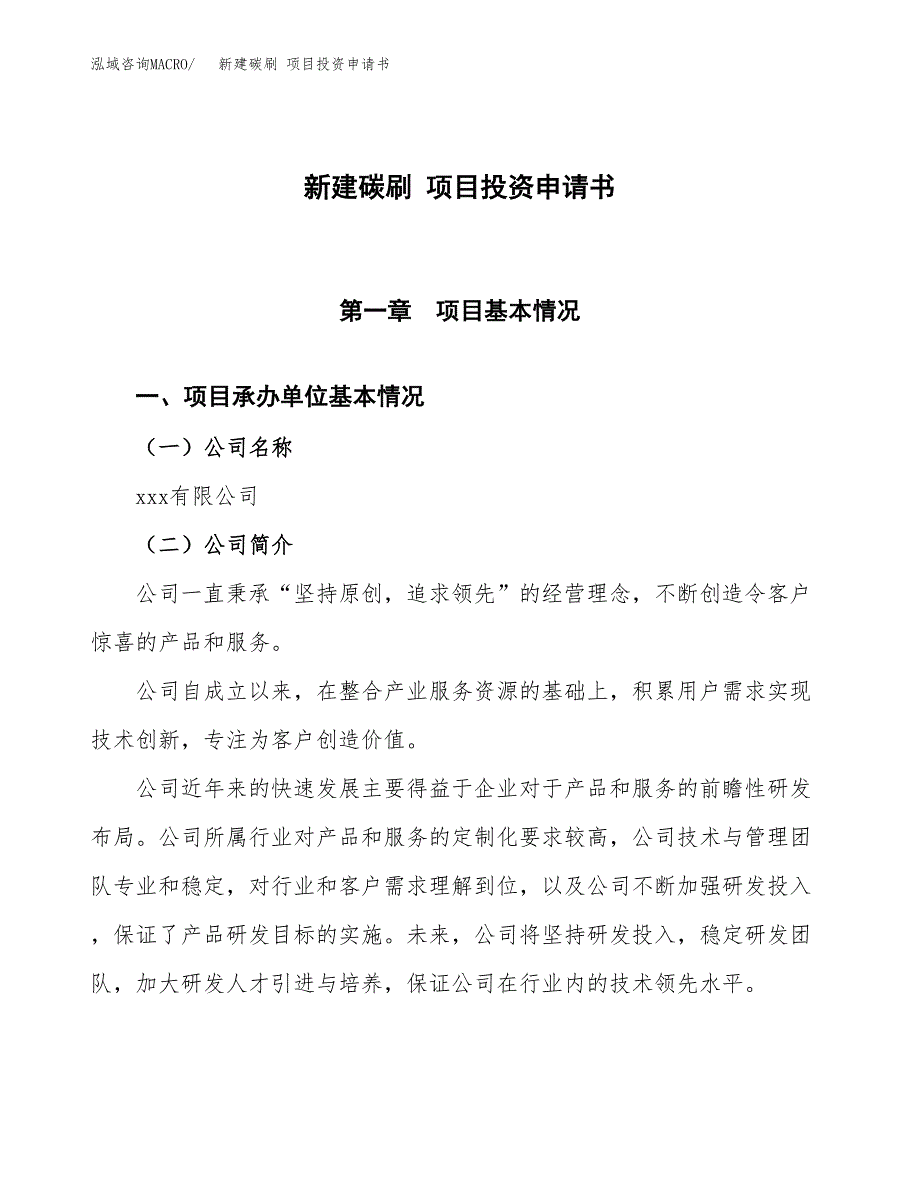 新建碳刷 项目投资申请书（总投资19000万元）_第1页