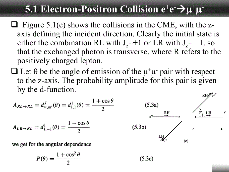 粒子物理课件HEPChapter5章节_第4页