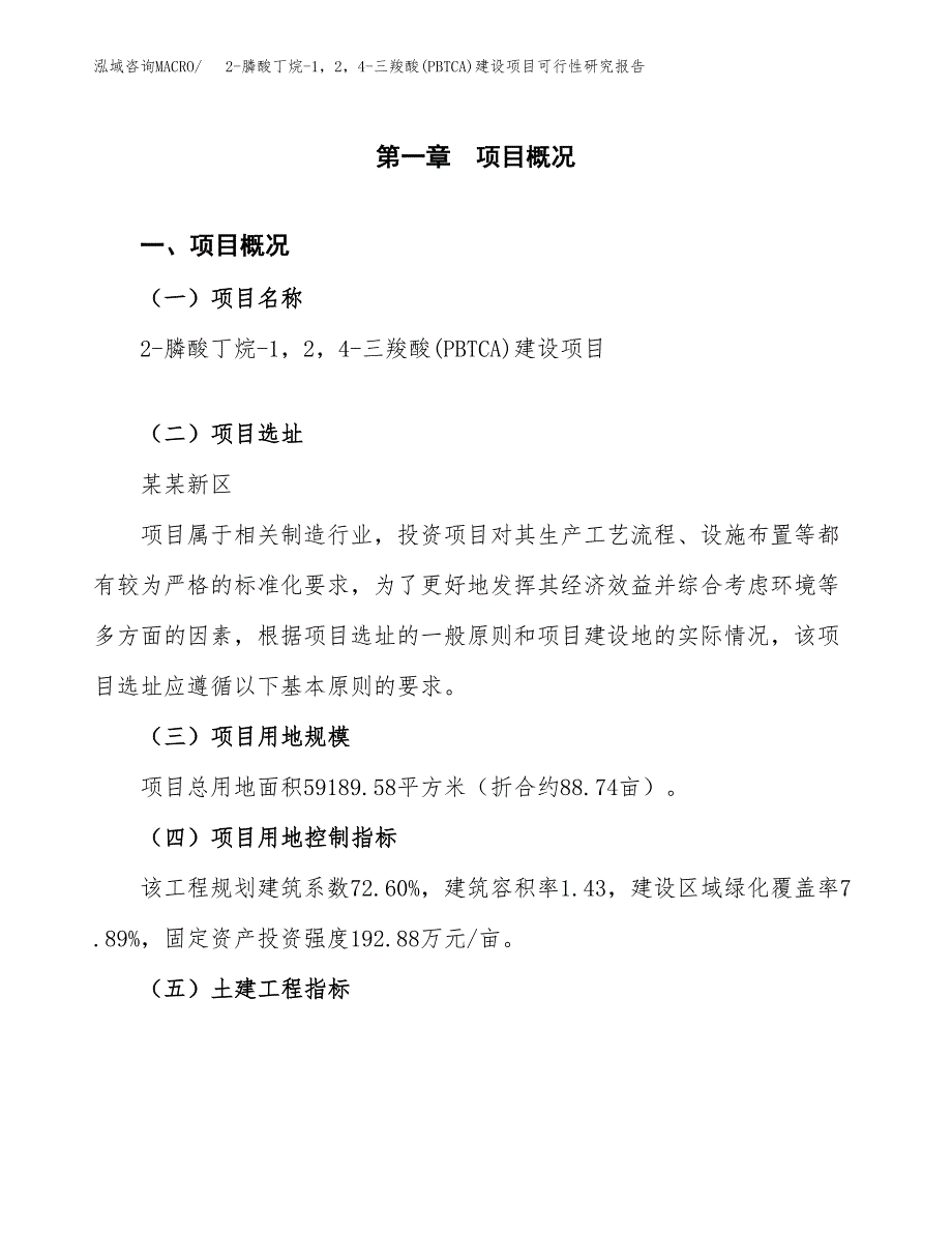 2-膦酸丁烷-1，2，4-三羧酸(PBTCA)建设项目可行性研究报告（89亩）.docx_第2页