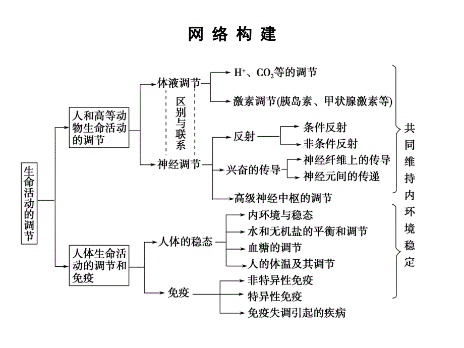 高三生物二轮专题复习课件：内环境的稳态与调节_第1页