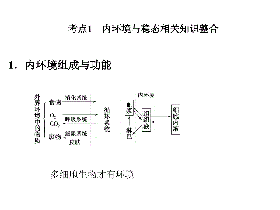 高三生物二轮专题复习课件：内环境的稳态与调节_第4页