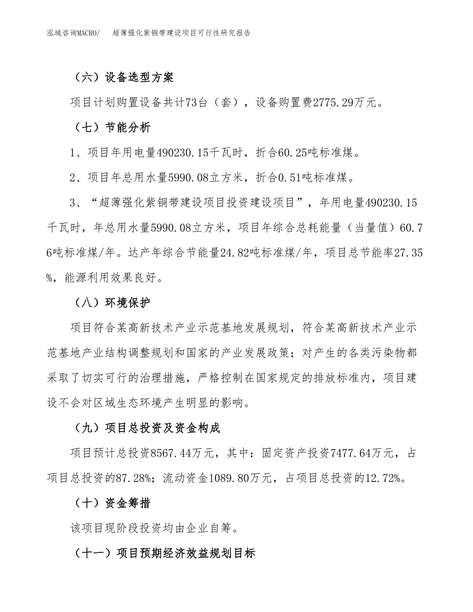 超薄强化紫铜带建设项目可行性研究报告（45亩）.docx_第3页