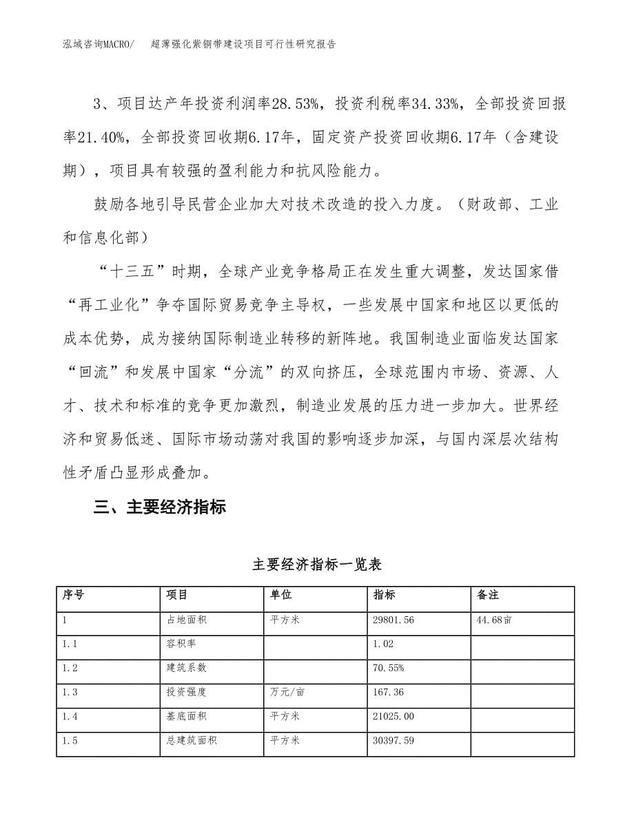 超薄强化紫铜带建设项目可行性研究报告（45亩）.docx_第5页