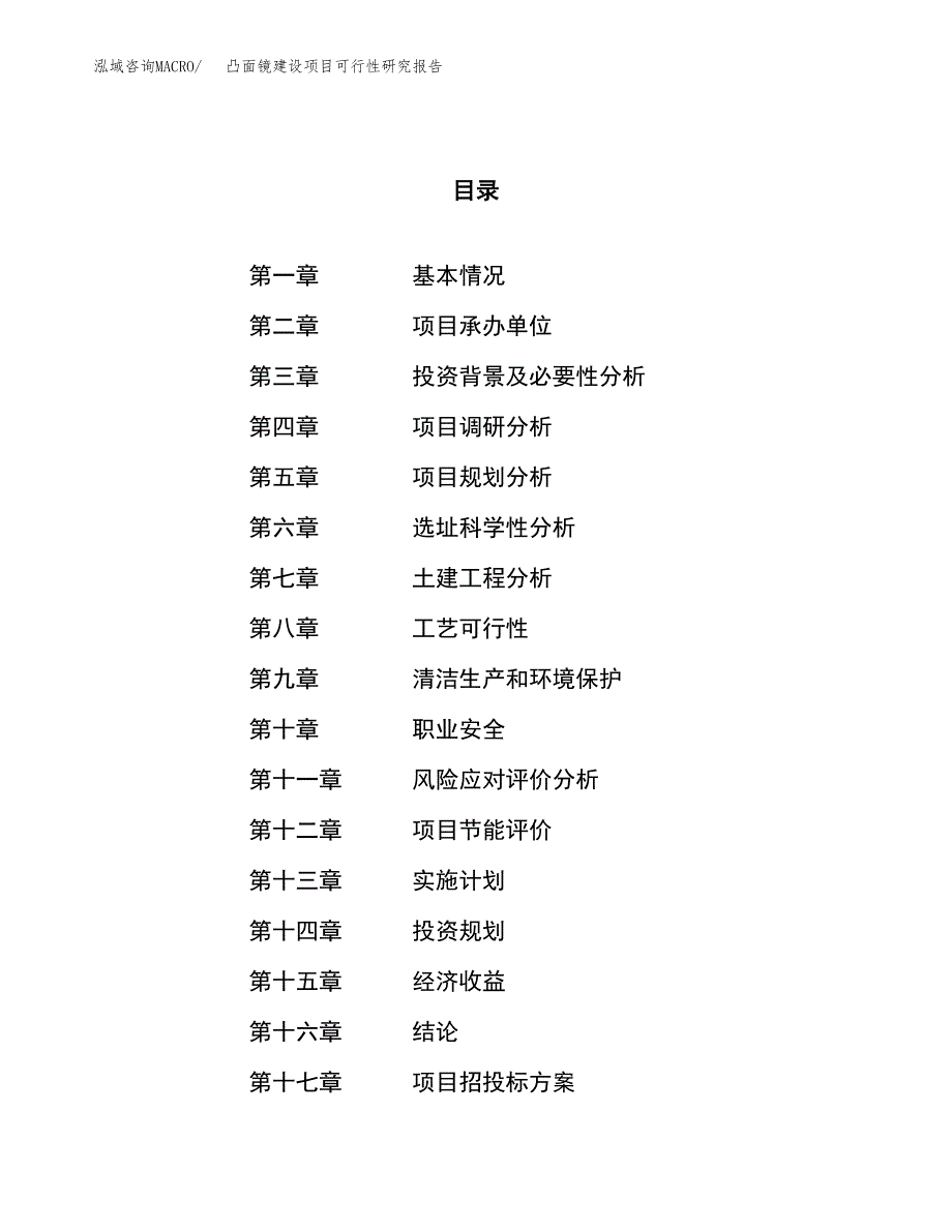 凸面镜建设项目可行性研究报告（13亩）.docx_第1页