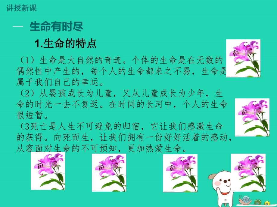 七年级道德与法治上册 第四单元 生命的思考 第八课 探问生命 第1框 生命可以永恒吗教学课件 新人教版_第4页