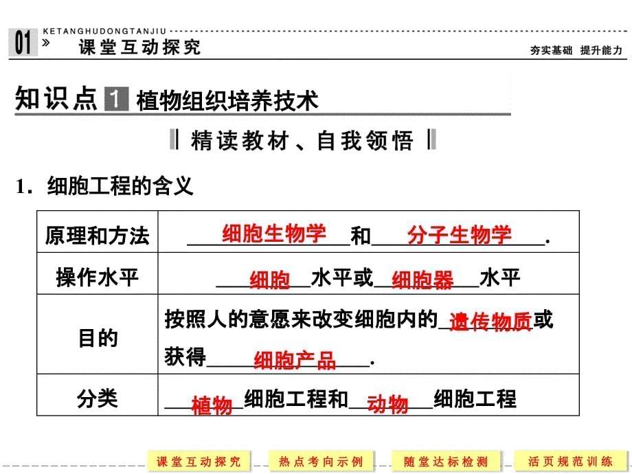 高中生物必修3课件：2-1-1植物细胞工程的基本技术(选修3)_第5页