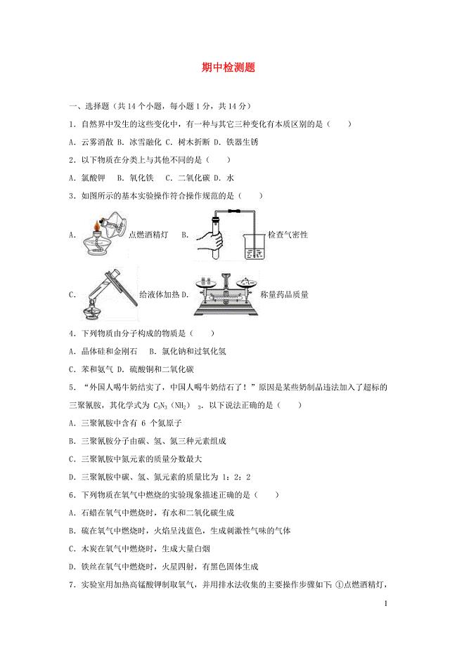 九年级化学上学期期中检测卷10