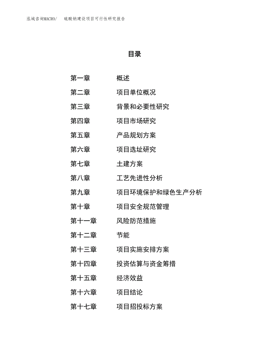 硫酸钠建设项目可行性研究报告（86亩）.docx_第1页