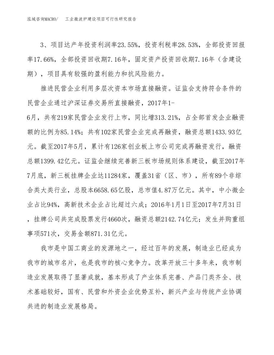 工业微波炉建设项目可行性研究报告（86亩）.docx_第5页