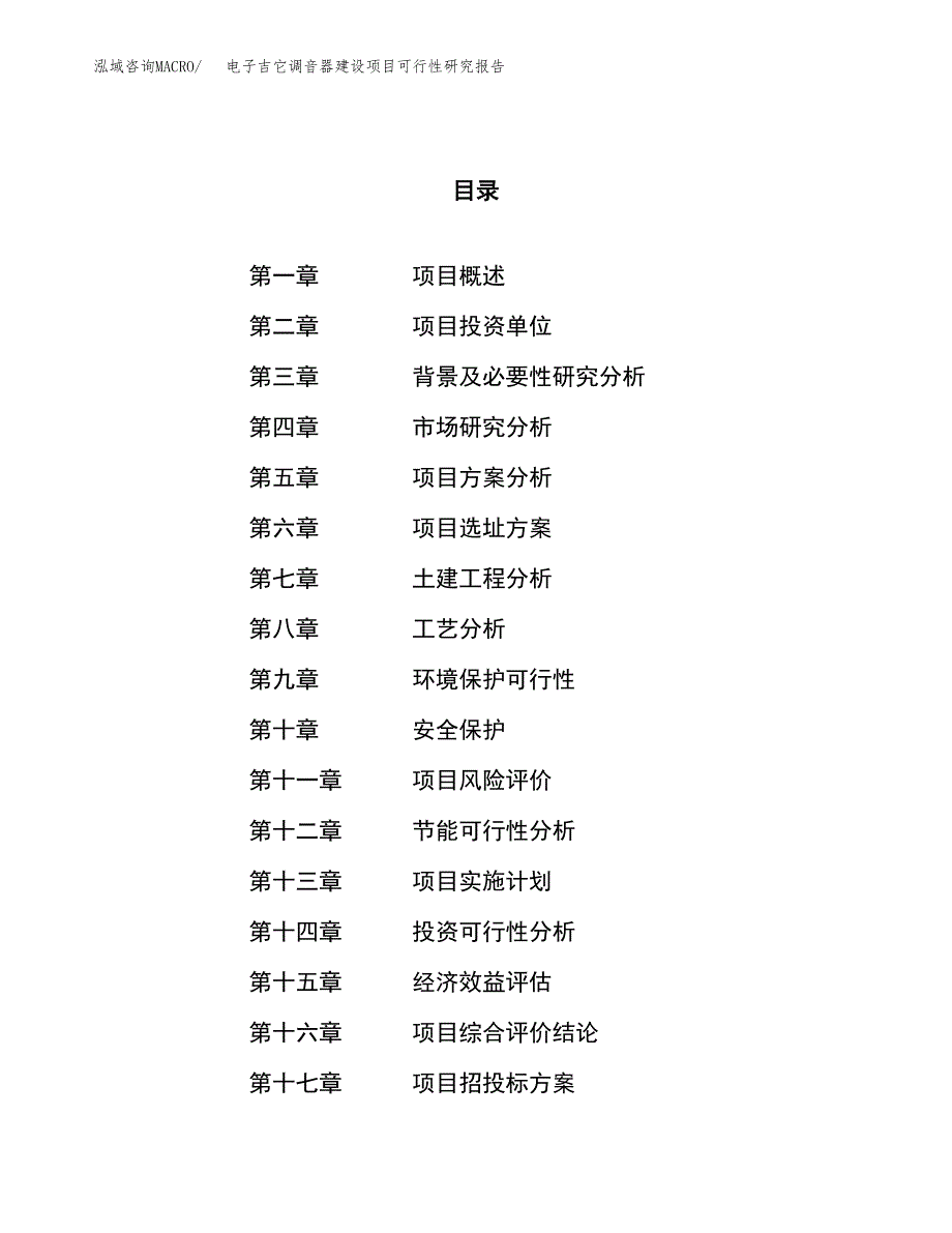 电子吉它调音器建设项目可行性研究报告（55亩）.docx_第1页