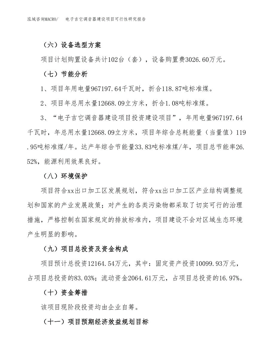 电子吉它调音器建设项目可行性研究报告（55亩）.docx_第3页