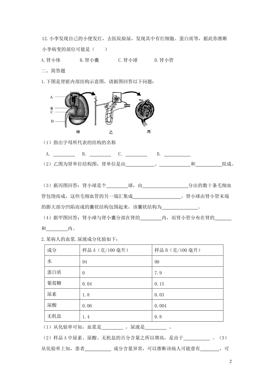 七年级生物下册 4.11.2《尿的形成与排出》练习1（新版）北师大版_第2页