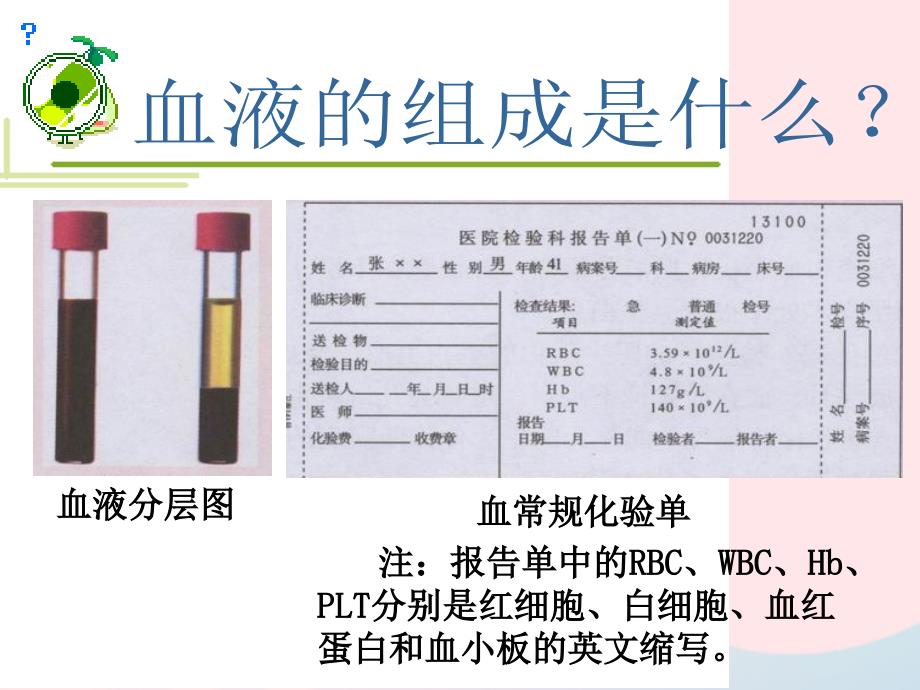 七年级生物下册 4.4.1 流动的组织 血液课件1 （新版）新人教版_第4页