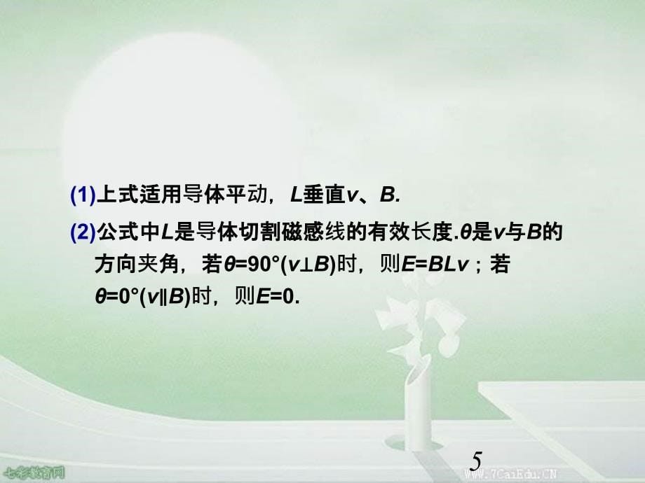 高考物理复习第轮课件法拉第电磁感应定律及应用_第5页