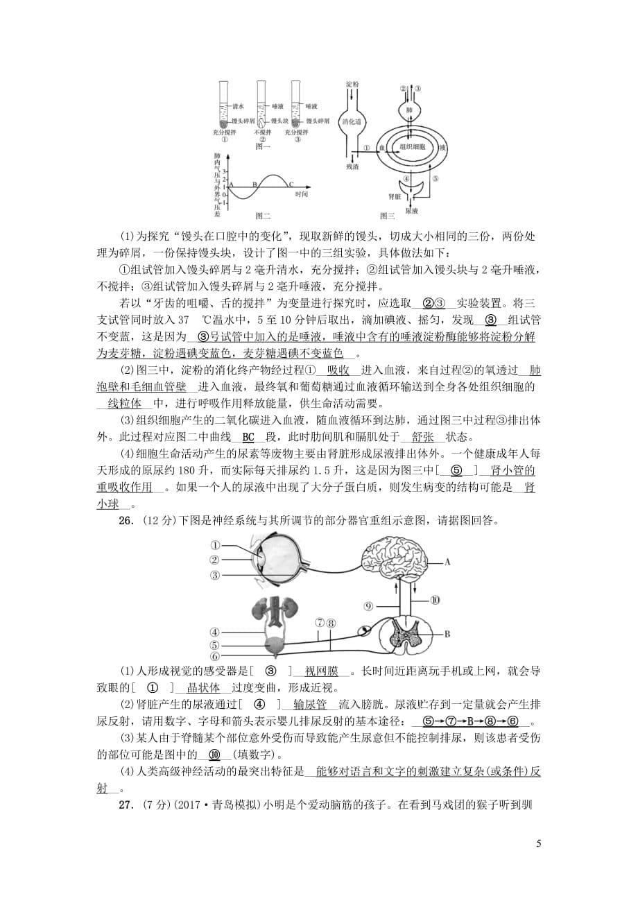 七年级生物下册 第四单元 第五 六章测试题 （新版）新人教版_第5页