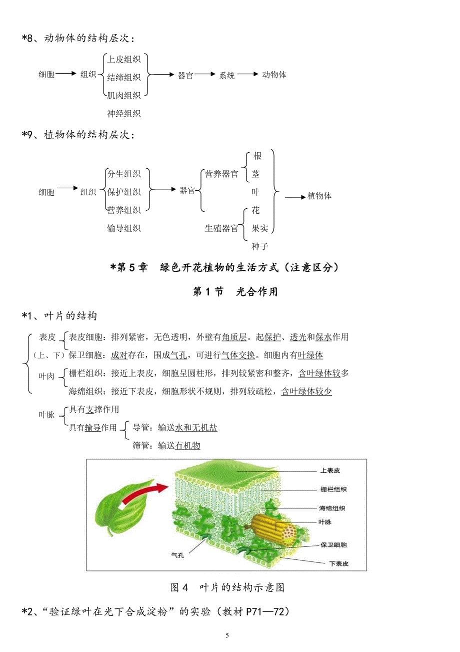中考生物 学霸复习笔记1（pdf）_第5页