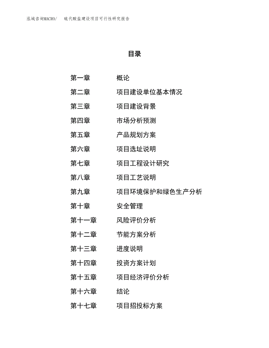 硫代酸盐建设项目可行性研究报告（45亩）.docx_第1页