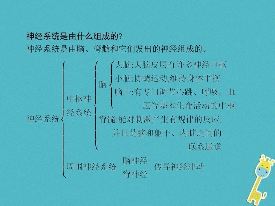 中考生物 第四单元 生物圈中的人 第六章 人体生命活动的调节 第二节 神经系统的组成课件 新人教版_第5页