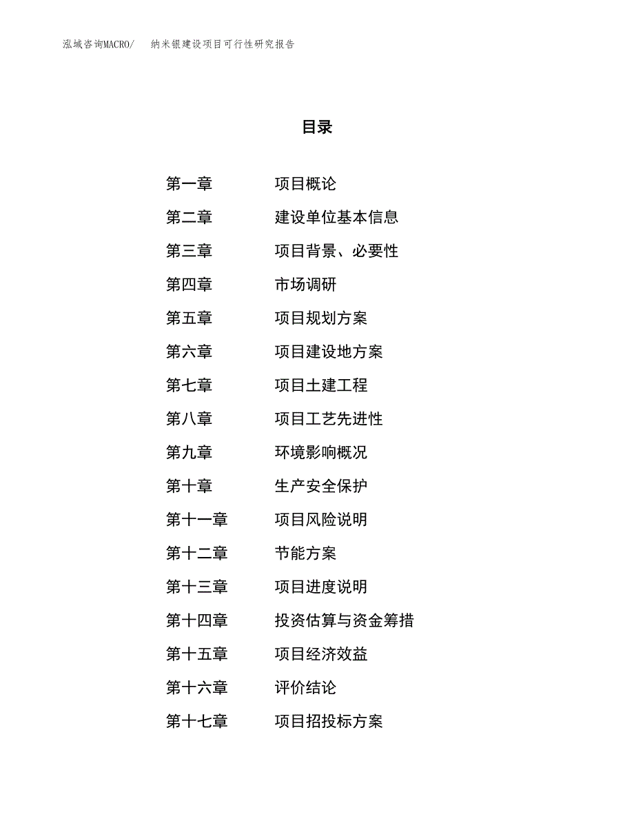 纳米银建设项目可行性研究报告（40亩）.docx_第1页