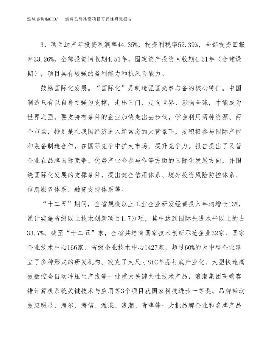 燃料乙醇建设项目可行性研究报告（45亩）.docx_第5页