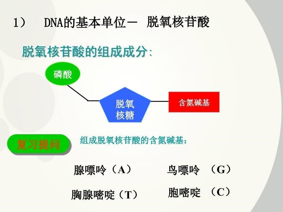 高中生物-dna分子的结构和复制课件-新人教版必修_第5页