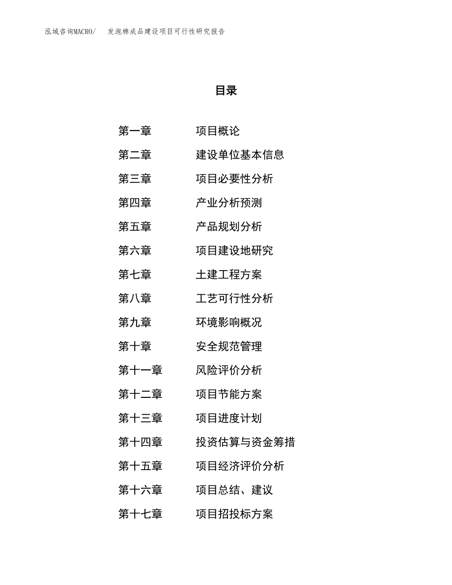 发泡棉成品建设项目可行性研究报告（50亩）.docx_第1页