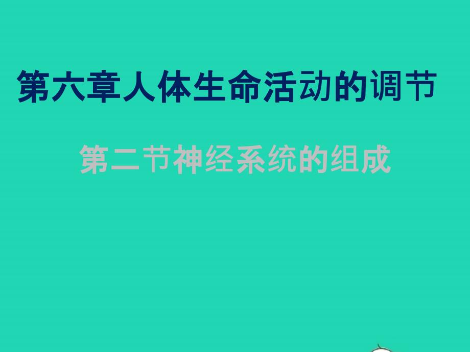 七年级生物下册 4.6.2《神经系统的组成》课件 （新版）新人教版_第1页