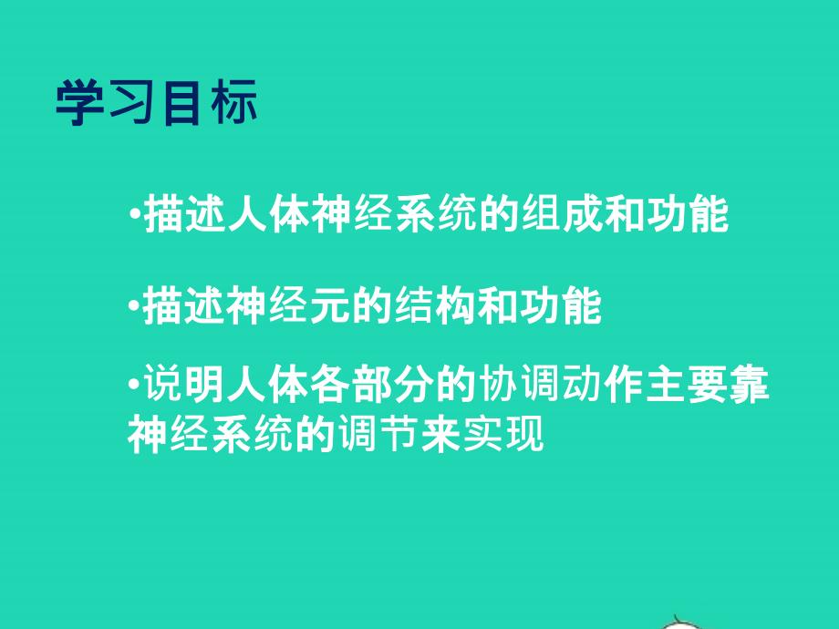 七年级生物下册 4.6.2《神经系统的组成》课件 （新版）新人教版_第2页