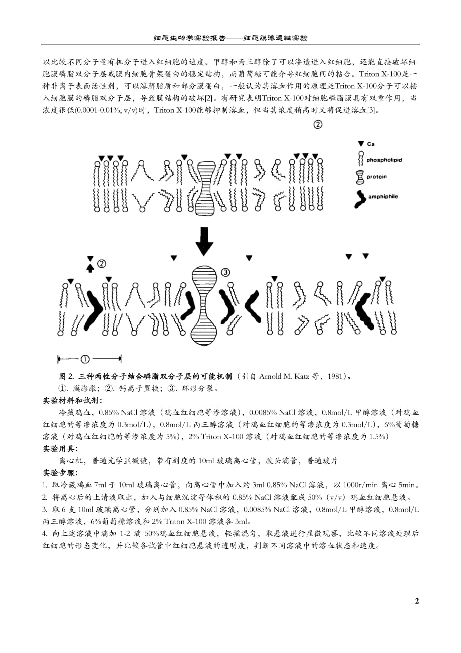 细胞生物学实验报告——细胞渗透性_第2页