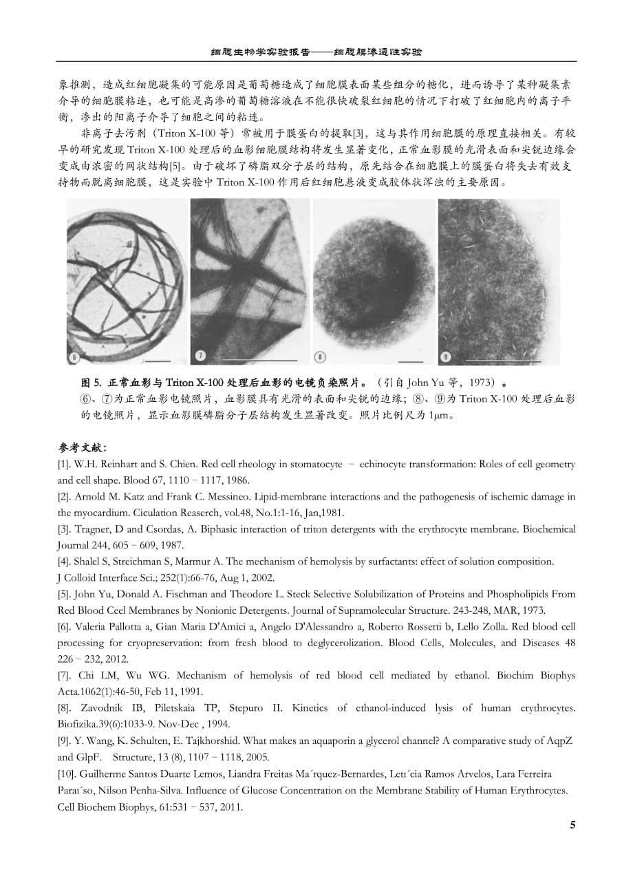 细胞生物学实验报告——细胞渗透性_第5页