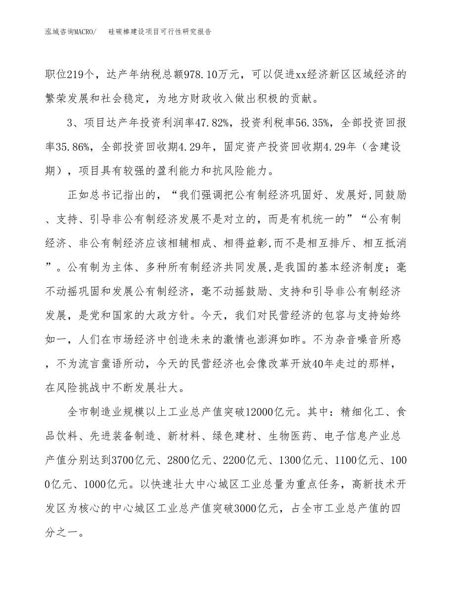 硅碳棒建设项目可行性研究报告（21亩）.docx_第5页