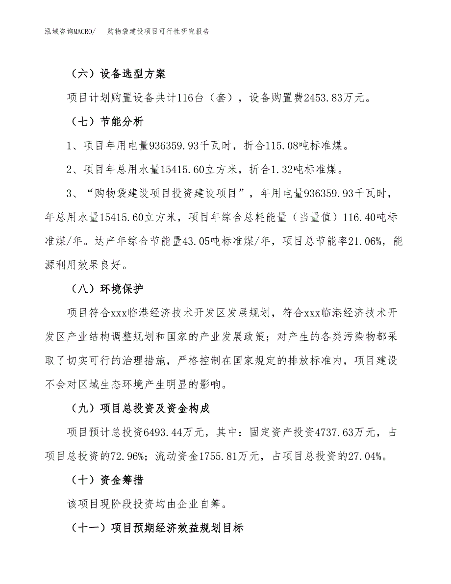 购物袋建设项目可行性研究报告（27亩）.docx_第3页