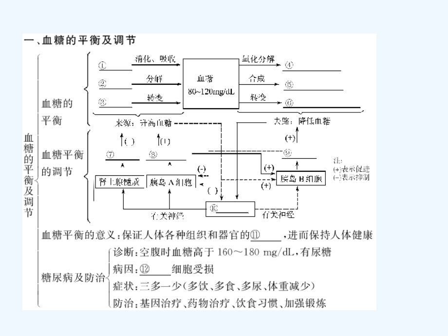 高考生物第一轮复习精品课件包：第九单元-人体生命活动的调节和免疫39_第2页