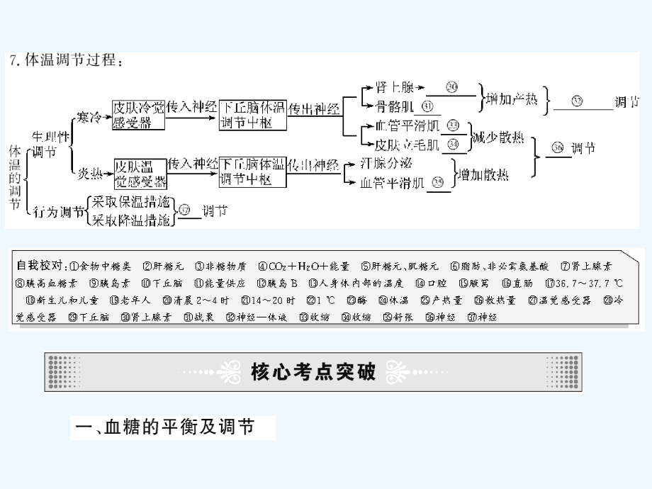 高考生物第一轮复习精品课件包：第九单元-人体生命活动的调节和免疫39_第4页