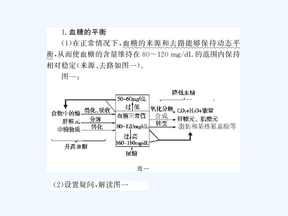 高考生物第一轮复习精品课件包：第九单元-人体生命活动的调节和免疫39_第5页