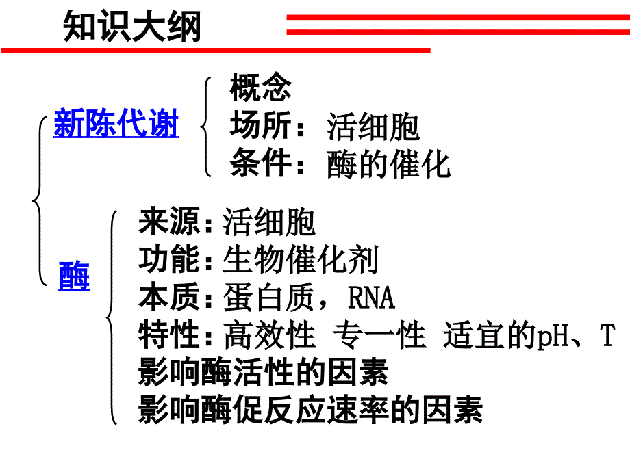 高中生物-新陈代谢与酶_第2页