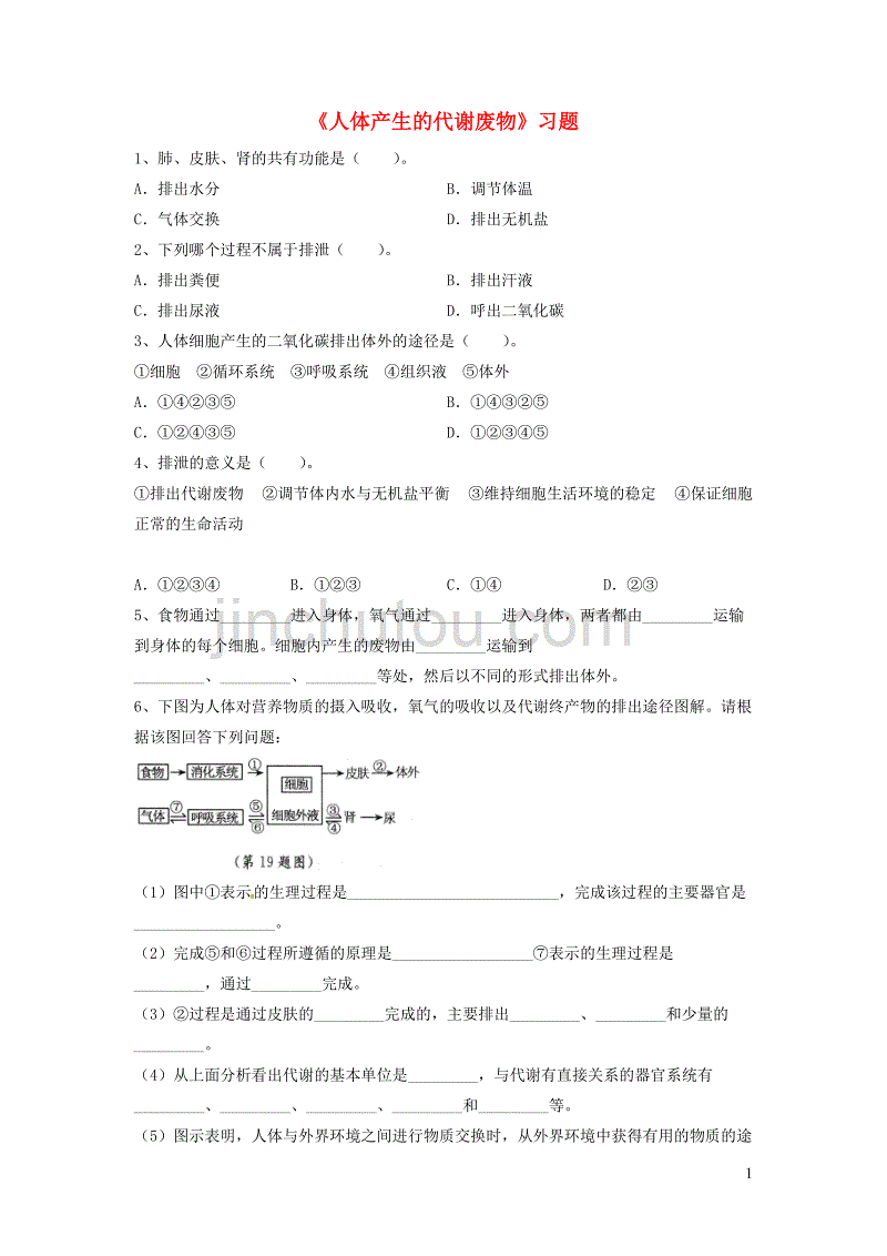 七年级生物下册 4.11.1《人体产生的代谢废物》习题1（无答案）（新版）北师大版_第1页