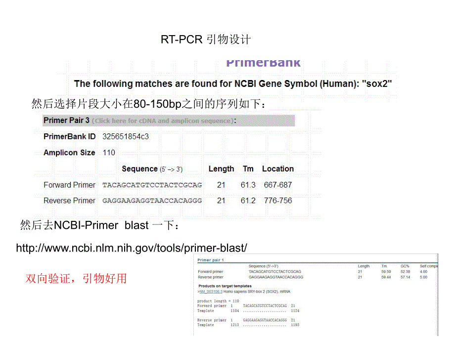 引物设计-rt-pcr 和cds引物设计_第3页