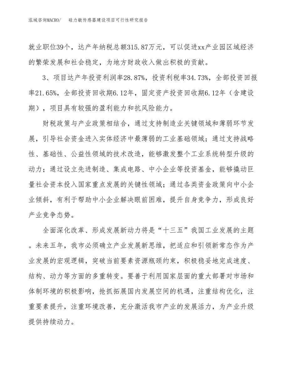 硅力敏传感器建设项目可行性研究报告（13亩）.docx_第5页